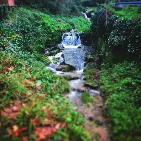 Uno Spazio Di Relax In Toscana * Buti