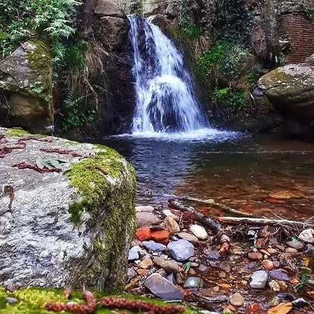 Uno Spazio Di Relax In Toscana アパート